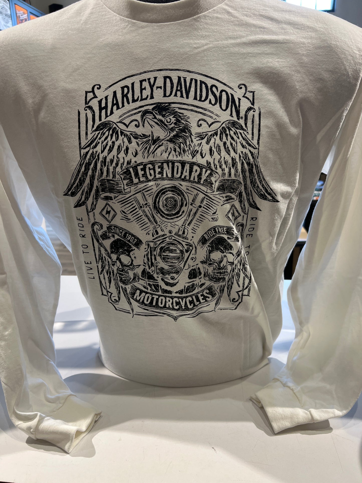 HD AVIATOR L/S