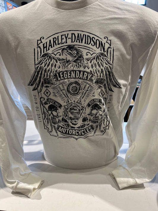 HD AVIATOR L/S