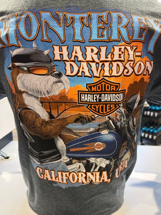 HD CARBON S/S