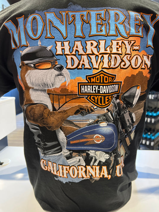HD ARMADA S/S
